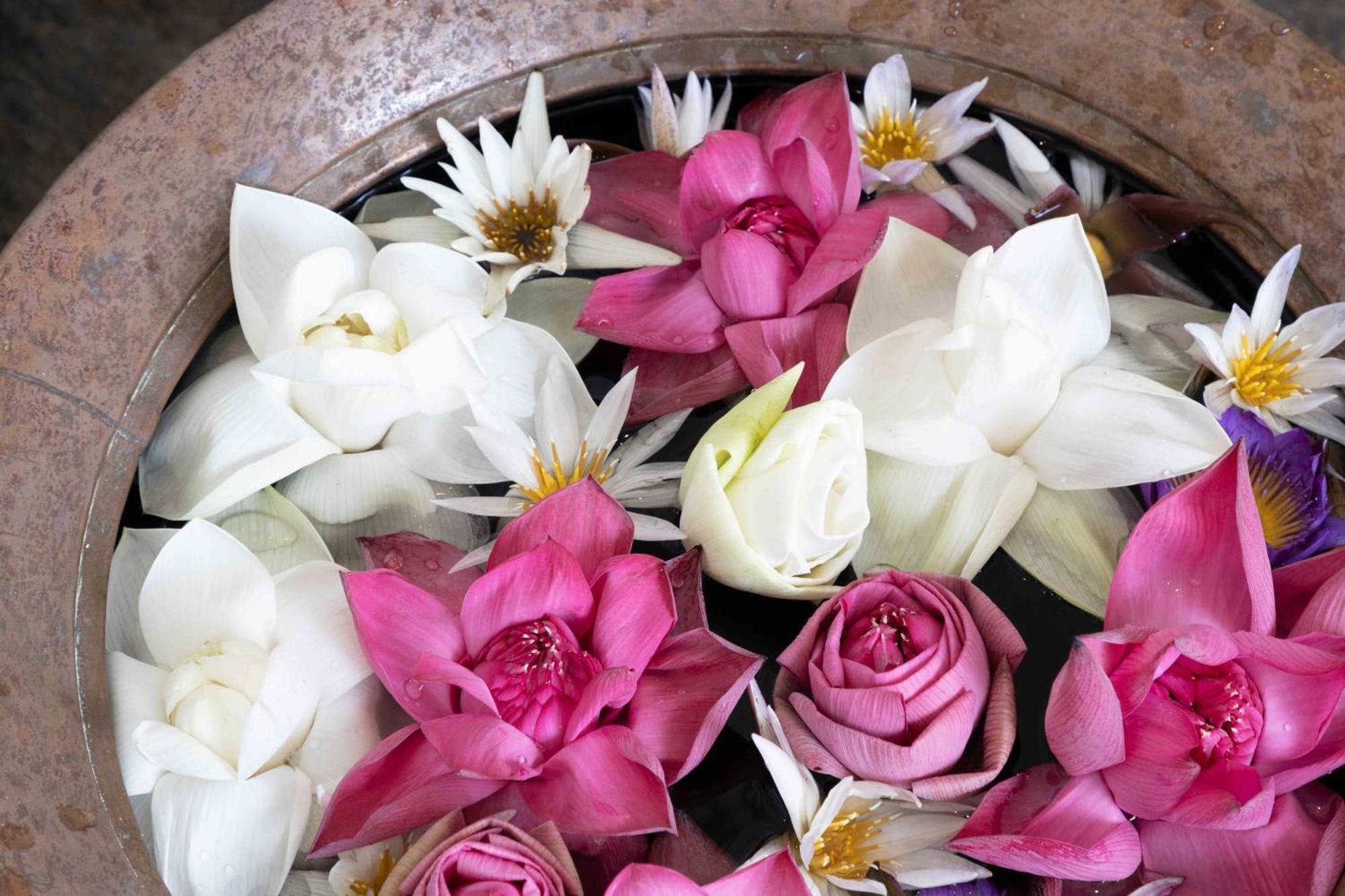 Lotus Colombo Guesthouse ภายนอก รูปภาพ